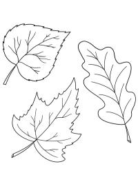3 listů