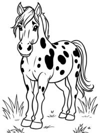 Appaloosa kůň