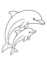 Delfín s mládětem