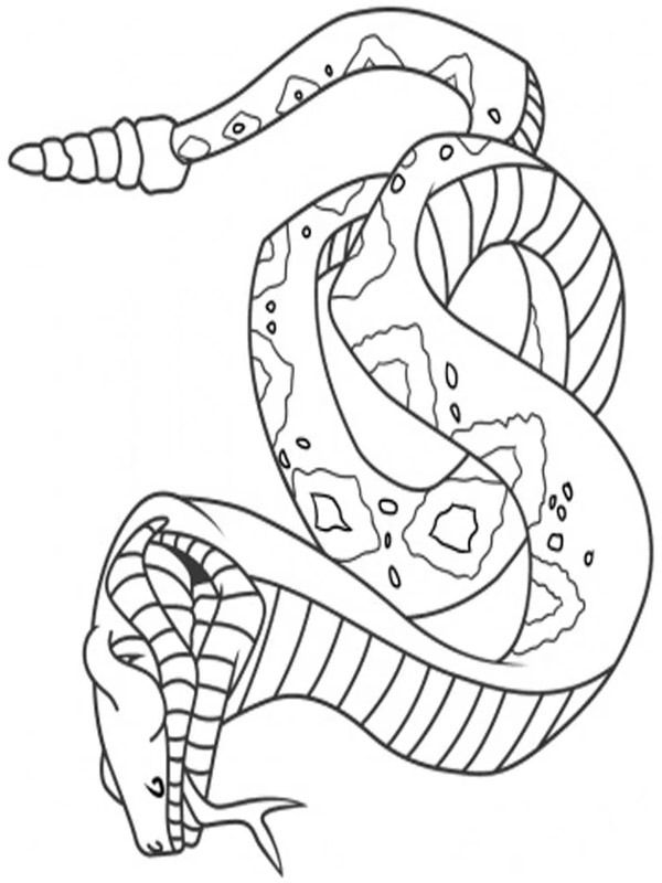 Had omalovánka
